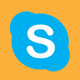 WordPress Skype Icon
